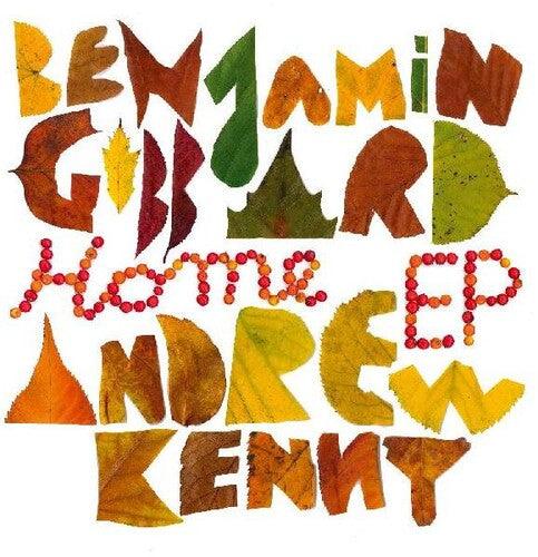 Benjamin Gibbard (Death Cab For Cutie)- Home EP ( Vinyl )