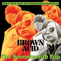 Various Artists- Brown Acid - The Seventeenth Trip (Various Artists) ( Vinyl )