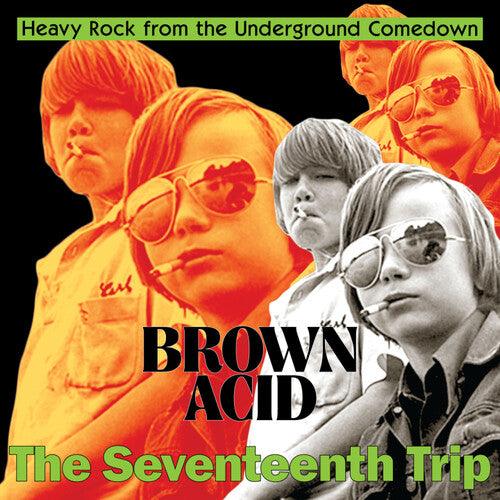 Various Artists- Brown Acid - The Seventeenth Trip (Various Artists) ( Vinyl )
