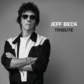 Jeff Beck- Tribute -BF23 ( Vinyl )