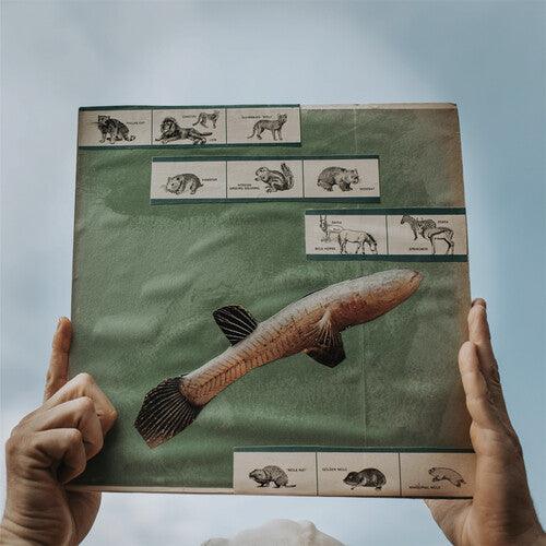 Cotton Jones- The River Strumming ( Vinyl )