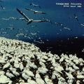 Thinking Fellers Union Local #282- These Things Remain Unassigned ( Vinyl )
