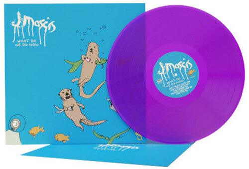 J Mascis (Dinosaur Jr.)- What Do We Do Now ( Vinyl )