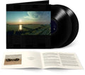 Lou Reed- Hudson River Wind Meditations ( Vinyl )