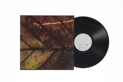 Pay Money to My Pain- gene ( Vinyl )