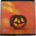 Sonic Youth- Walls Have Ears ( Vinyl )