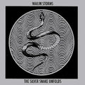 Wailin Storms- The Silver Snake Unfolds ( Vinyl )