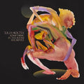 Julia Holter- Something In The Room She Moves ( Vinyl )