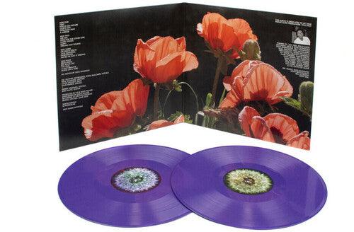 The Bevis Frond- Focus On Nature ( Vinyl )