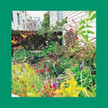 Unwishing Well ( Vinyl )