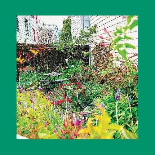 Unwishing Well ( Vinyl )