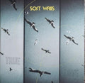 Soft Walls- True Love ( Vinyl )