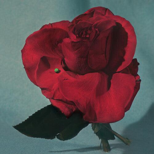 METZ- Up on Gravity Hill (Loser Edition) ( Vinyl )