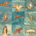 Los Hermanos Cosmico (Chris Robinson)- Live At Pappy + Harriet's -RSD24 ( Vinyl )