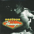 BUNBURY- Flamingos ( Vinyl )