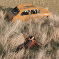 Lawrence Rothman- Plow That Broke The Plains ( Vinyl )