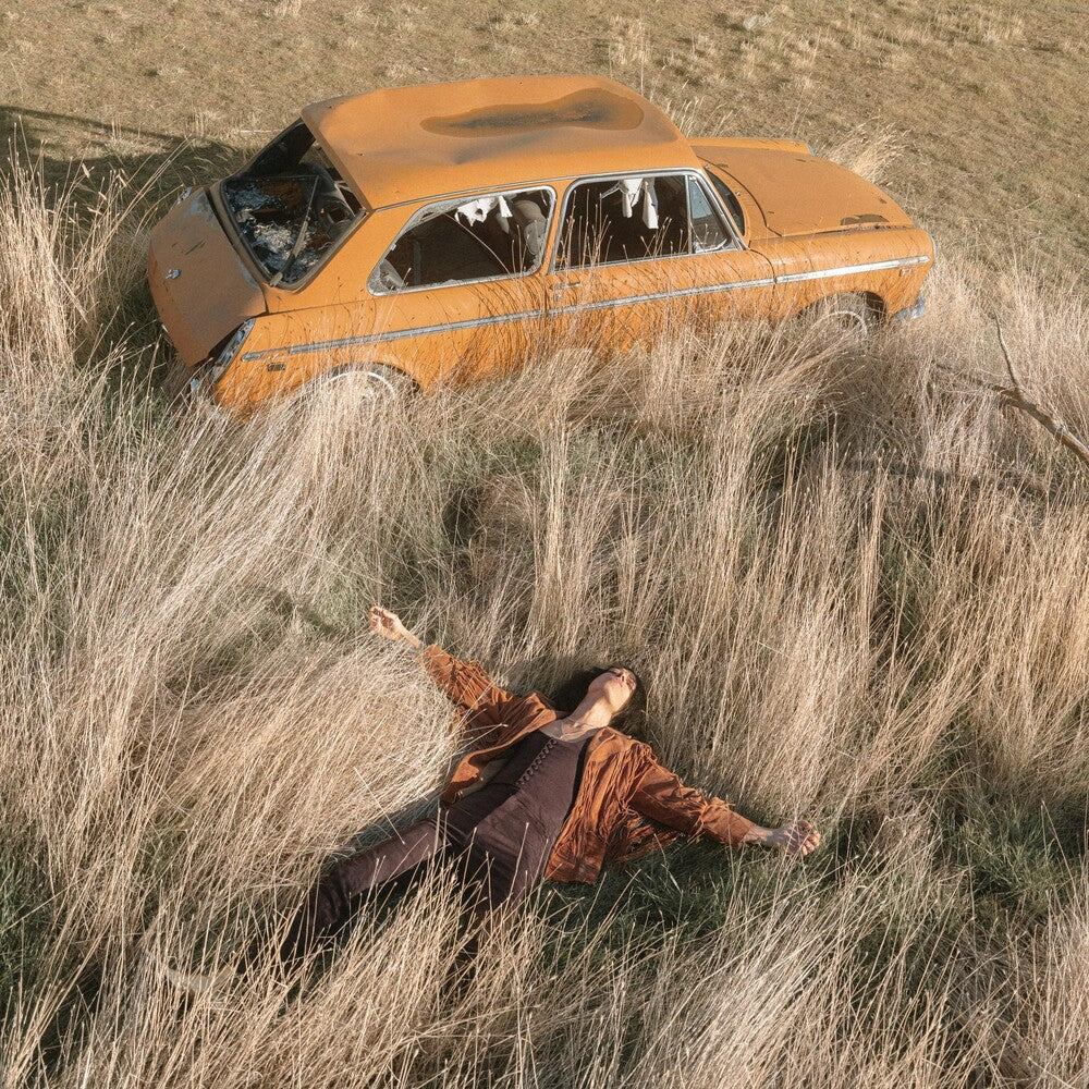 Lawrence Rothman- Plow That Broke The Plains ( Vinyl )