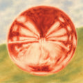 Bloomsday- Heart Of The Artichoke ( Vinyl )