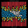 Rich Ruth- Water Still Flows (Indie Exclusive Vinyl) ( Vinyl )