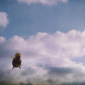 Pond- Stung! (Indie Exclusive Vinyl) ( Vinyl )