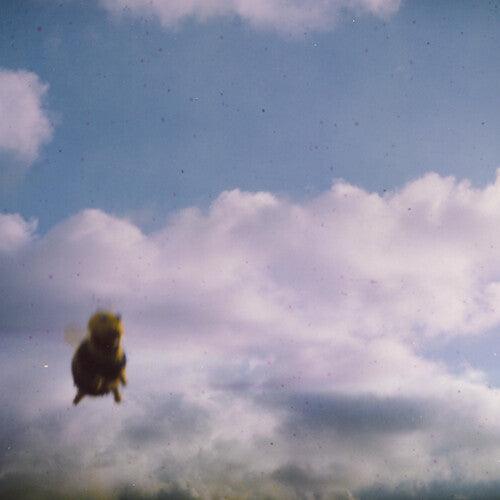 Pond- Stung! (Indie Exclusive Vinyl) ( Vinyl )