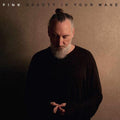 Fink- Beauty in Your Wake ( Vinyl )