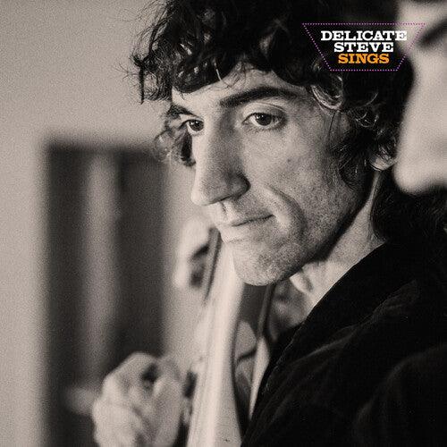 Delicate Steve- Delicate Steve Sings ( Vinyl )
