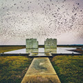 Lord Buffalo- Holus Bolus (Gate) ( Vinyl )
