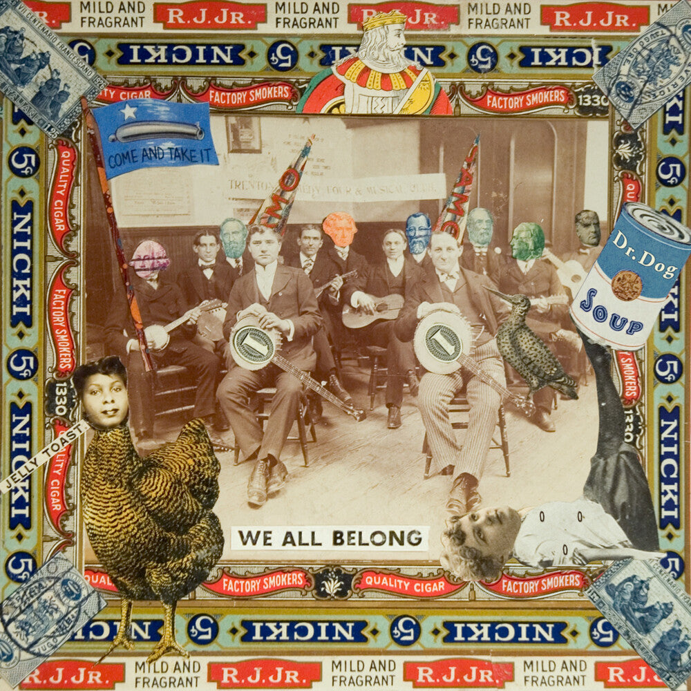 Dr Dog- We All Belong ( Vinyl )