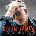 Colin James- Chasing the Sun ( Vinyl )