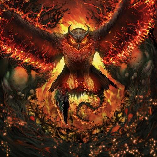 Rad Owl- Rage Gracefully ( Vinyl )