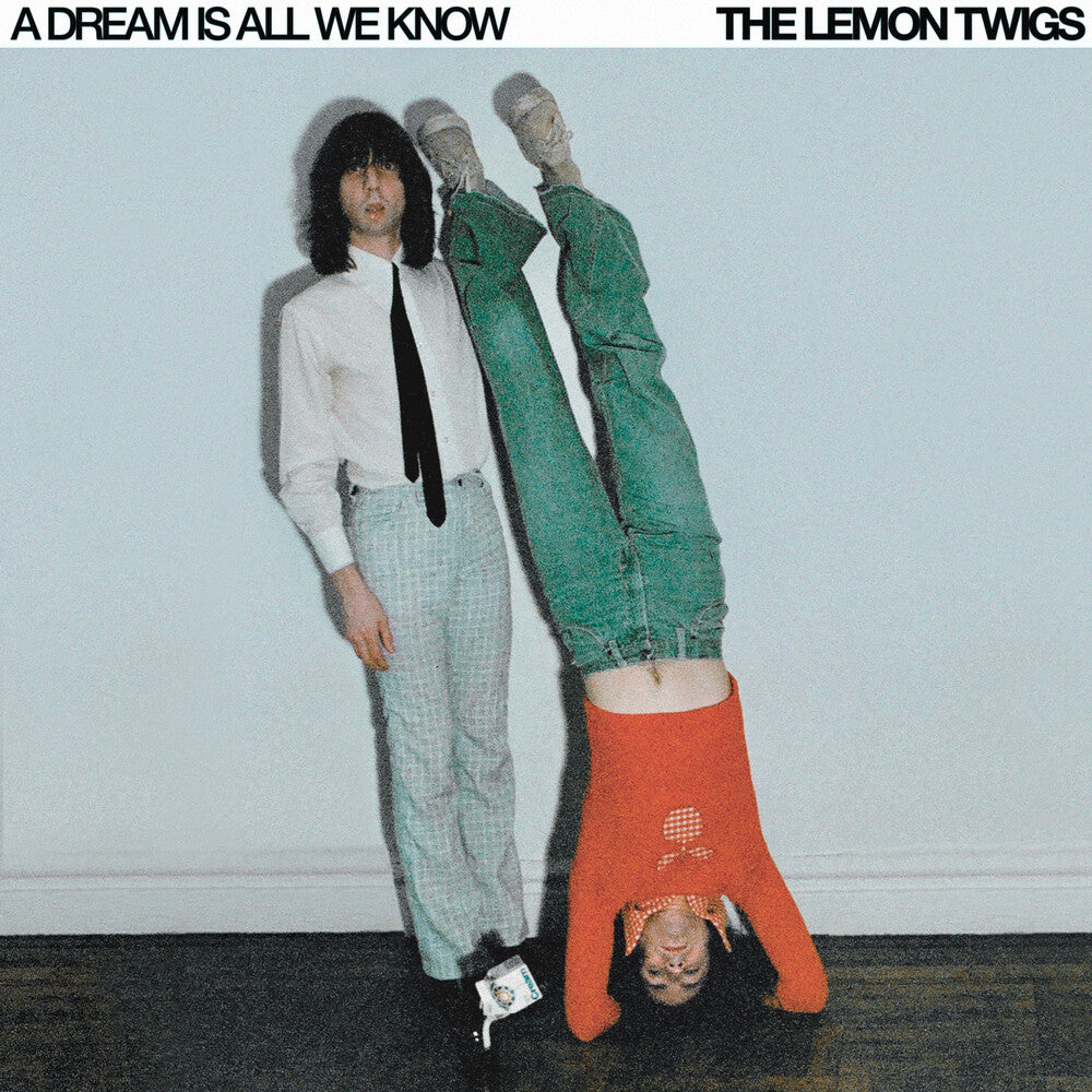 Lemon Twigs- Dream Is All We Know ( Vinyl )