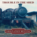 Indignation Meeting- Trouble In The Shed ( Vinyl )