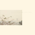 Wild Nothing- Golden Haze - Golden Haze [Colored Vinyl] (Gol) ( Vinyl )