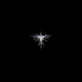 Lux Prima (Karen O & Danger Mouse)- Lux Prima ( Vinyl )