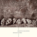 Remnant Three- A Gentle Collapsing ( Vinyl )