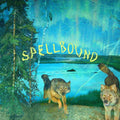 Boyscott- Spellbound ( Vinyl )