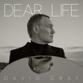 David Gray- Dear Life - Seaweed Green Vinyl ( Vinyl )