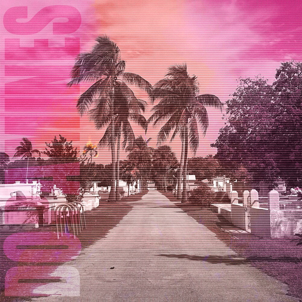 Dopamines- 80/20 ( Vinyl )