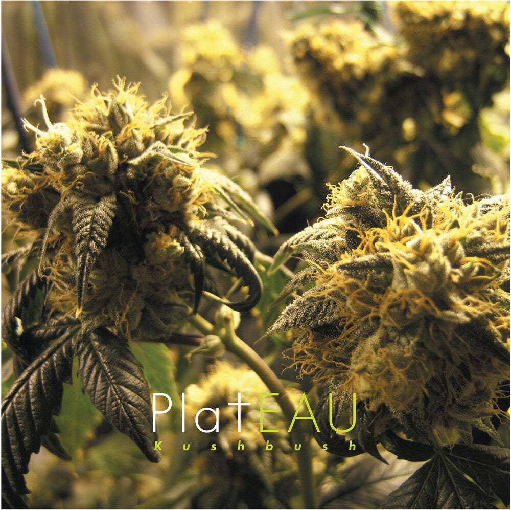 Kushbush ( Vinyl )