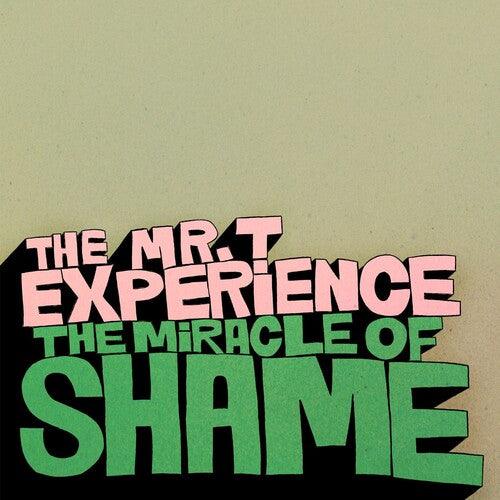 Mr T Experience- Miracle Of Shame ( Vinyl )