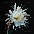 Heather Maloney- Exploding Star ( Vinyl )