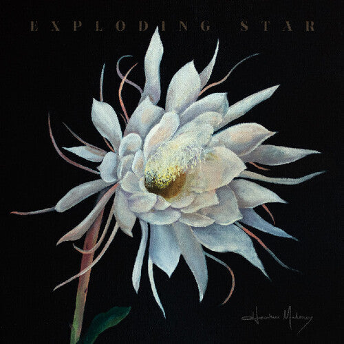 Heather Maloney- Exploding Star ( Vinyl )