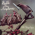 Build Us Airplanes- All Things Expire ( Vinyl )