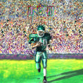 Alex G- DSU ( Vinyl )