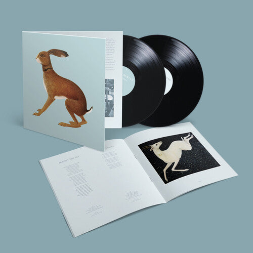 Vashti Bunyan- Lookaftering - Expanded ( Vinyl )