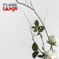 Flook- Sanju ( Vinyl )