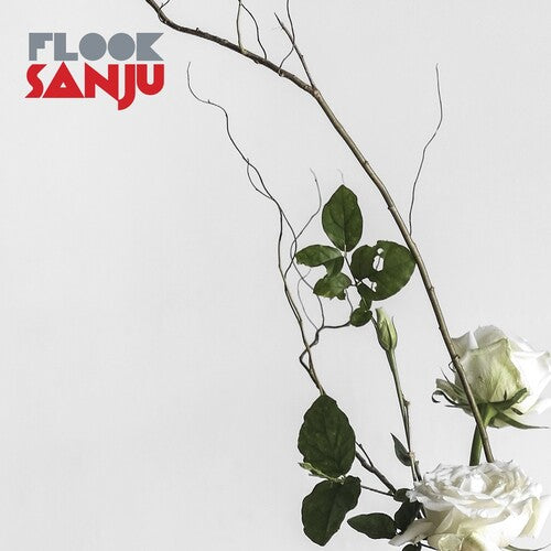 Flook- Sanju ( Vinyl )