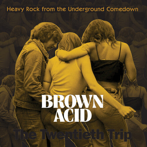 Various Artists- Brown Acid - The Twentieth Trip (Various Artists) ( Vinyl )