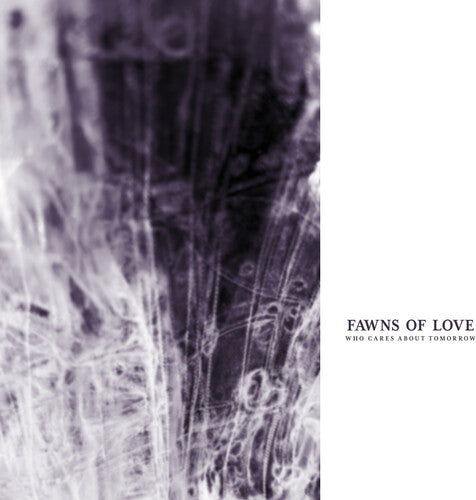 Fawns of Love- Who Cares About Tomorrow ( Vinyl )